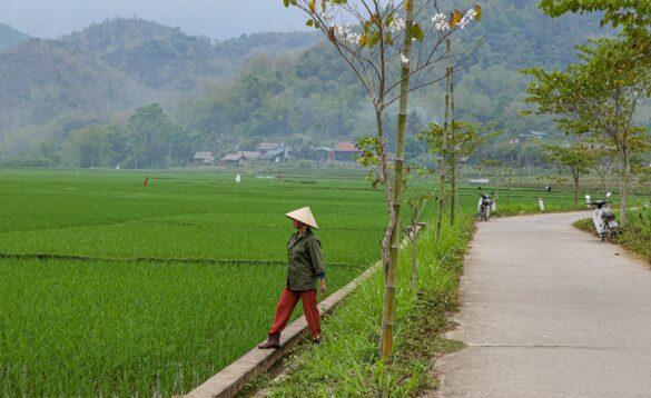 Mai Chau Vietnam