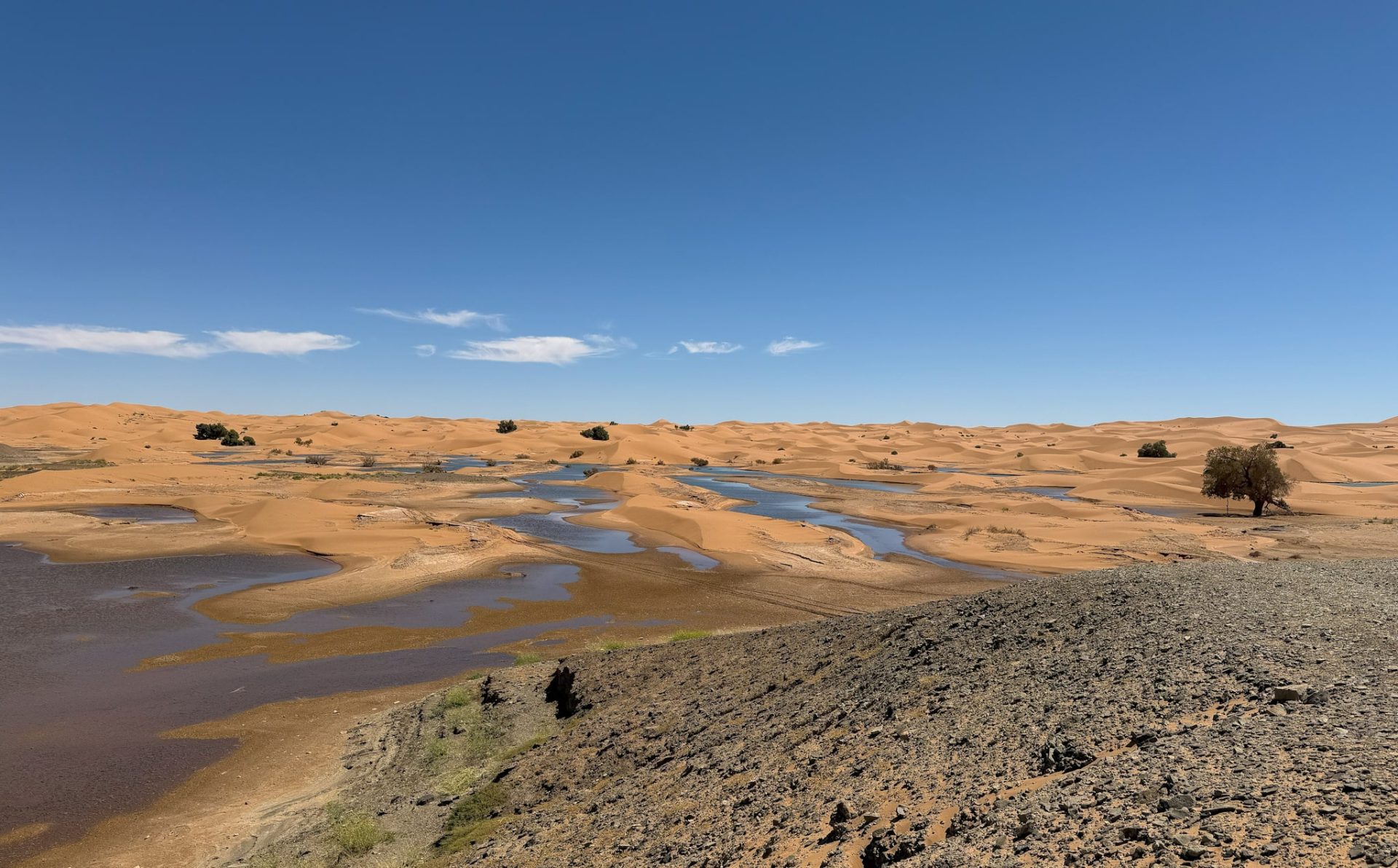 Oasi nel deserto di Merzouga in Marocco