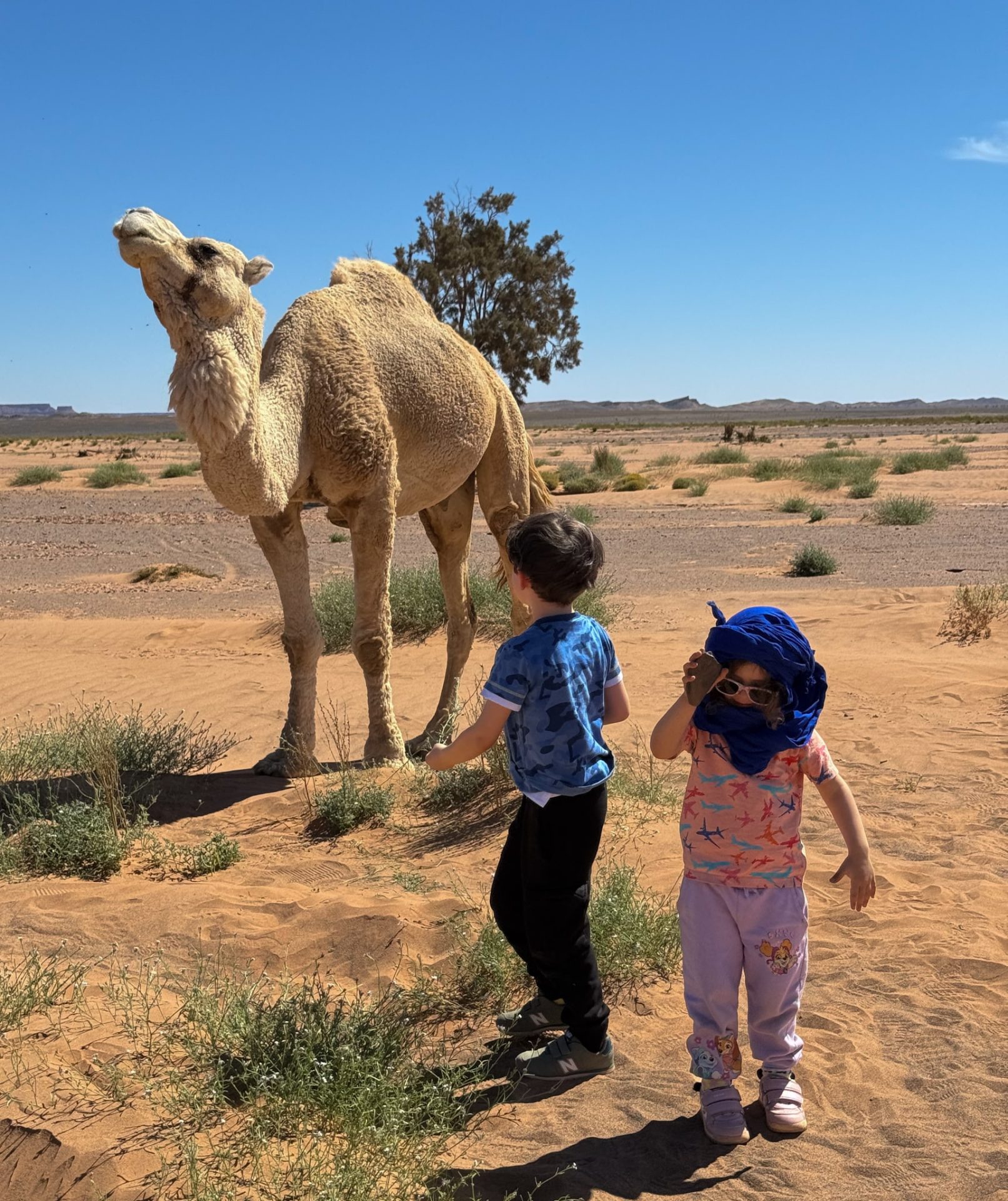 Come si vive nel deserto del Sahara in Marocco, escursione nei villaggi berberi